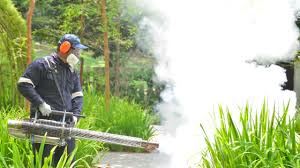 Best Fumigation Services  in Everett, PA